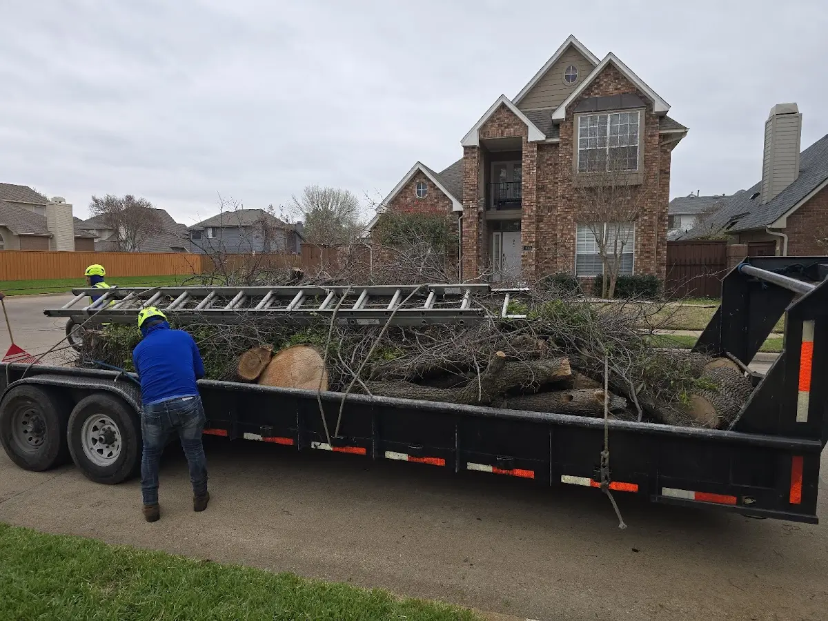 Expert Lot Clearing with proper safety equipment in Redford